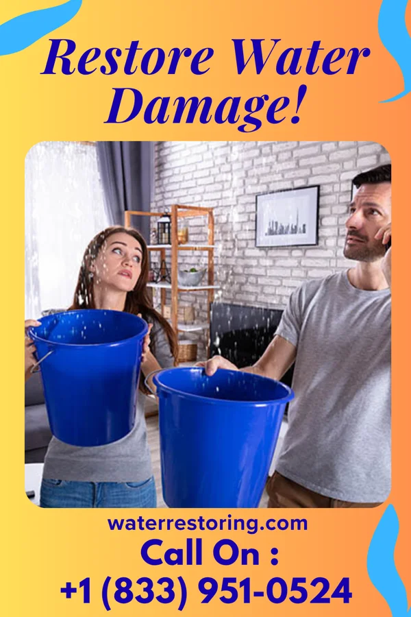 water restoration Premier Water Damage Specialists Dunlap