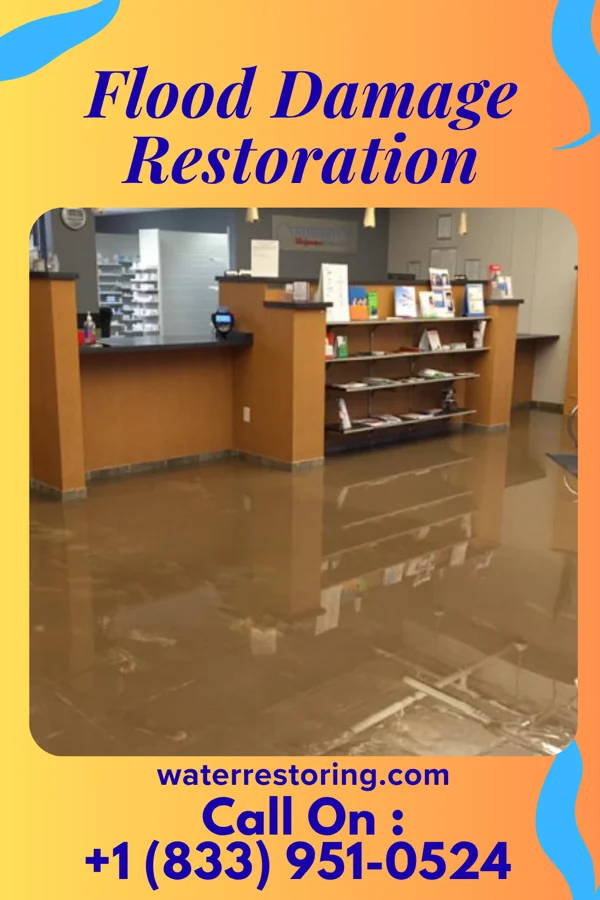 Flood Damage Restoration in Dunlap, OH