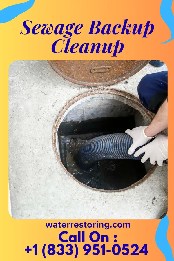 Sewage Backup Cleanup in Dunlap, OH